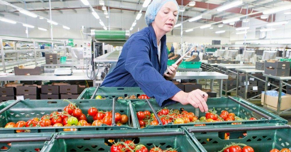 انخفاض حاد في صادرات المواد الغذائية