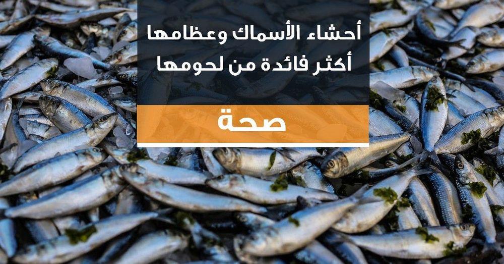 أحشاء الأسماك وعظامها أكثر فائدة من لحومها