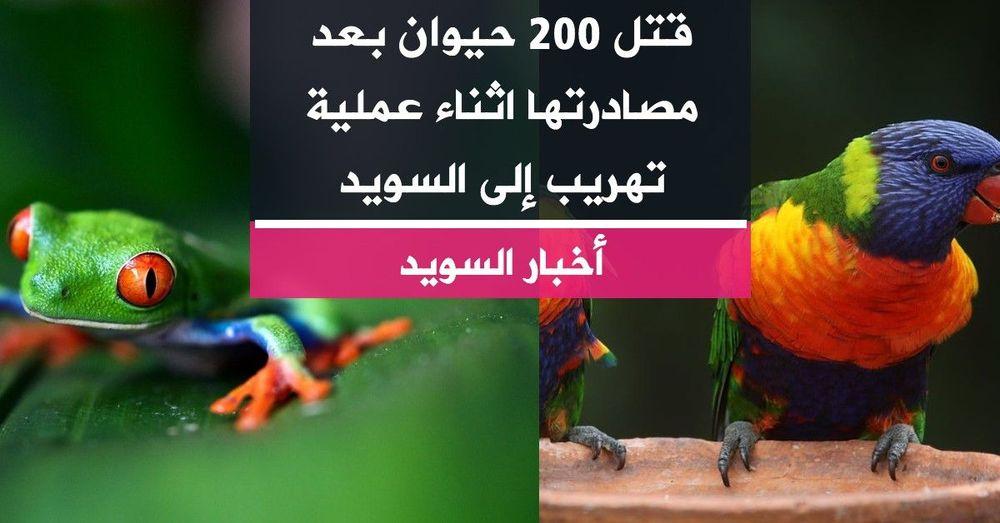 قتل 200 حيوان بعد مصادرتها اثناء عملية تهريب إلى السويد