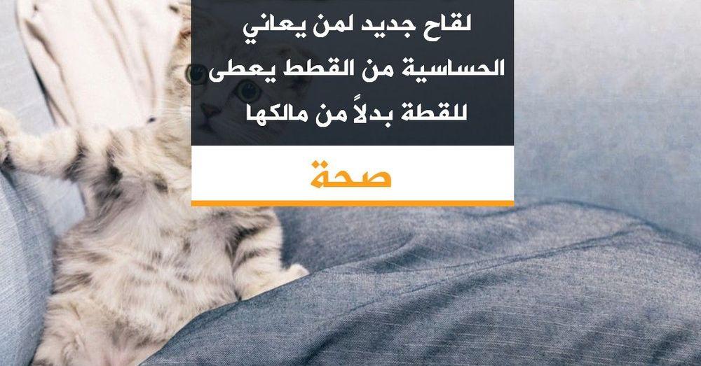 لقاح جديد لمن يعاني الحساسية من القطط يعطى للقطة بدلاً من مالكها