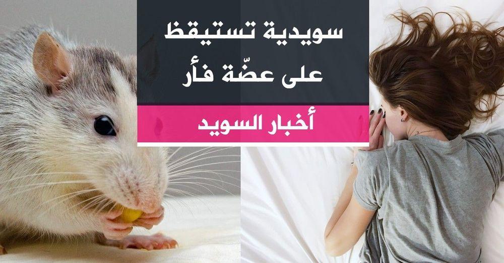 سويدية تستيقظ على عضّة فأر