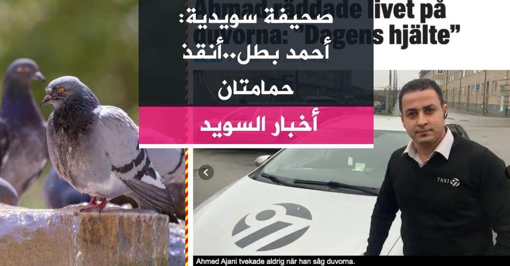 صحيفة سويدية: أحمد بطل..أنقذ حمامتان