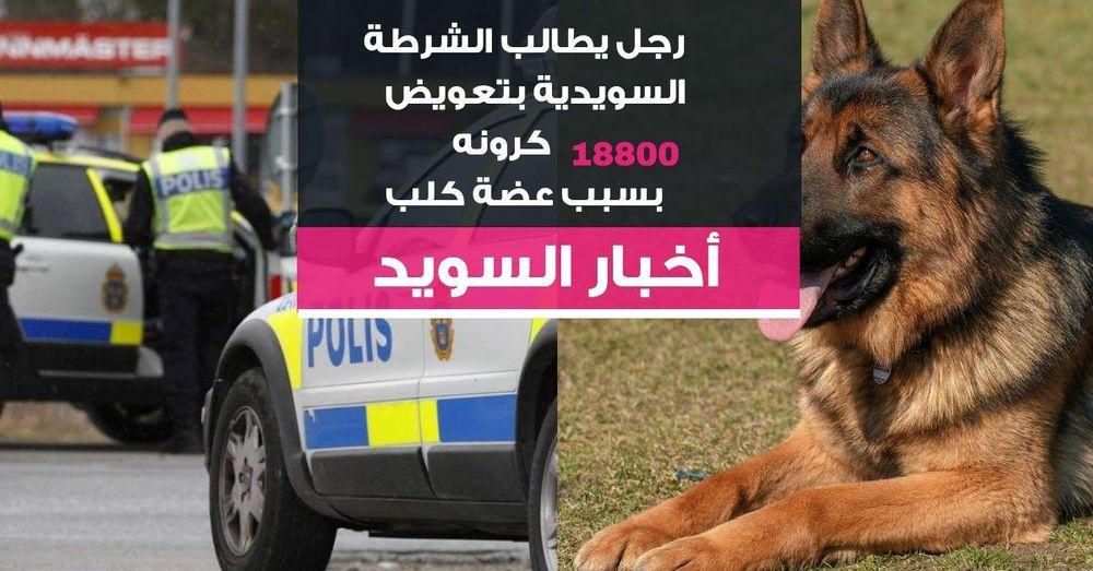 رجل يطالب الشرطة السويدية بتعويض 18800 كرون عن عضة كلب