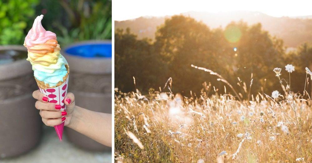 حرارة الطقس قد تصل إلى 25 درجة الأسبوع المقبل في السويد