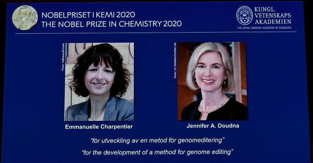 سيدتان تحصلان على جائزة نوبل للكمياء لعام 2020