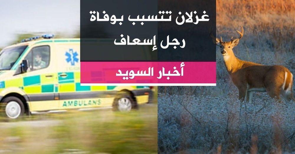 غزلان تتسبب بوفاة رجل إسعاف