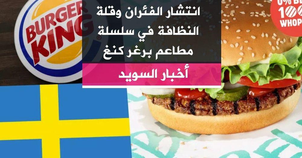 انتشار الفئران وقلة النظافة في سلسلة مطاعم برغر كنغ