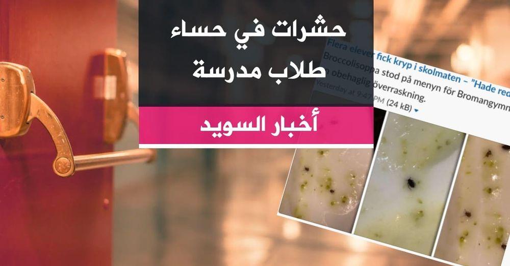 حشرات في حساء طلاب مدرسة