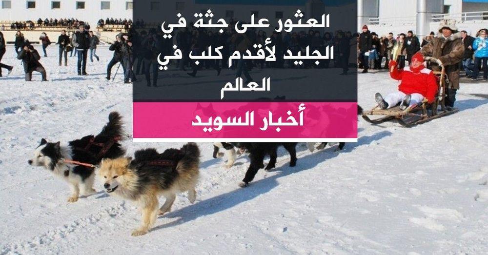 العثور على جثة في الجليد لأقدم كلب في العالم