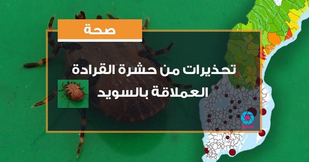 تحذيرات من حشرة القرادة العملاقة بالسويد