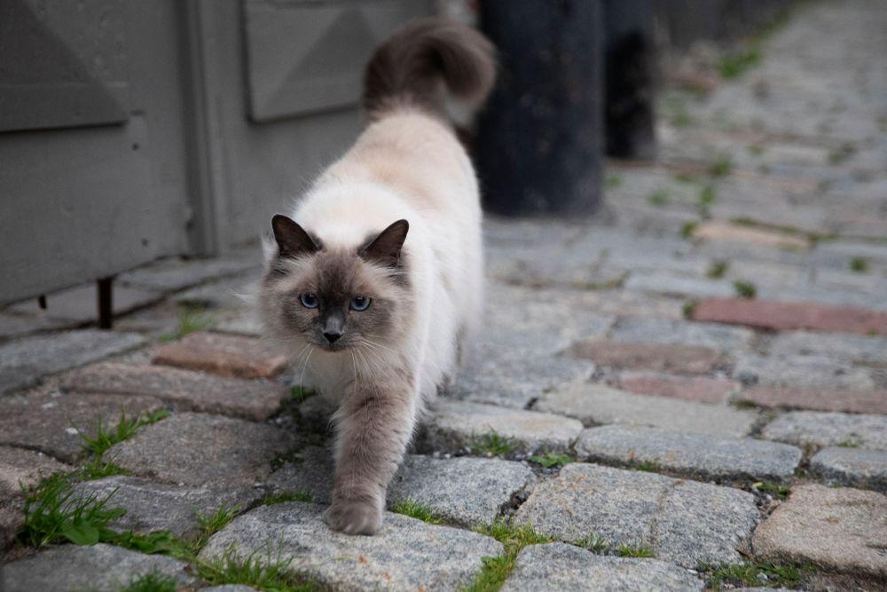 صدمة في السويد