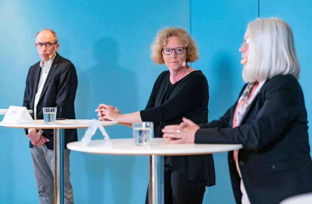 تعليمات حول كيفية تجنب الفوضى عند الحجز في المرحلة الرابعة في مقاطعة سكونه
