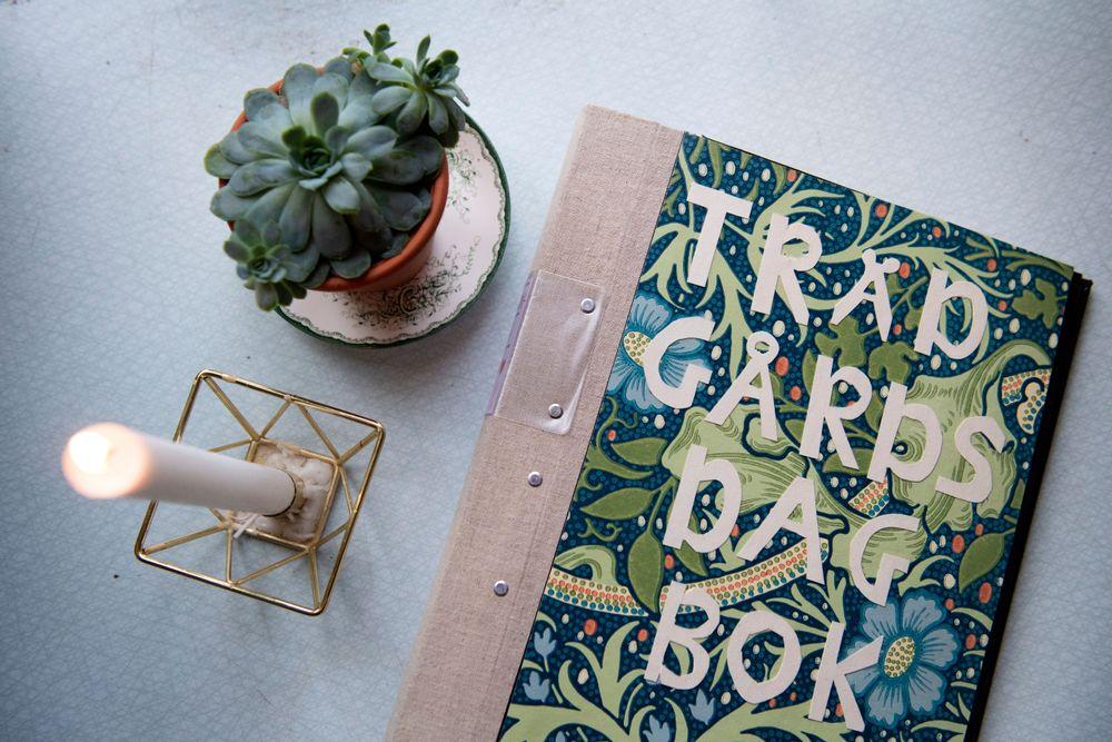 العام الجديد