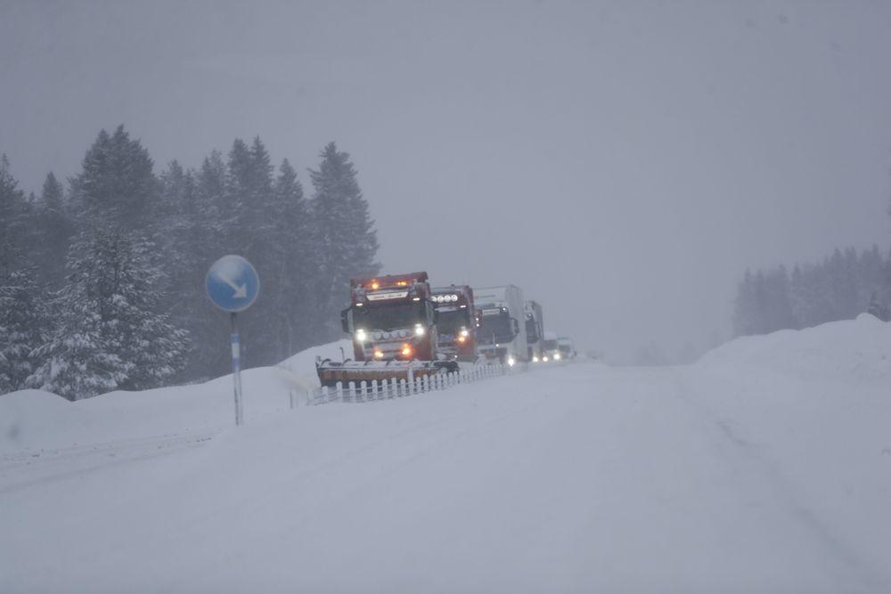  طقساً معتدلاً في أنحاء السويد