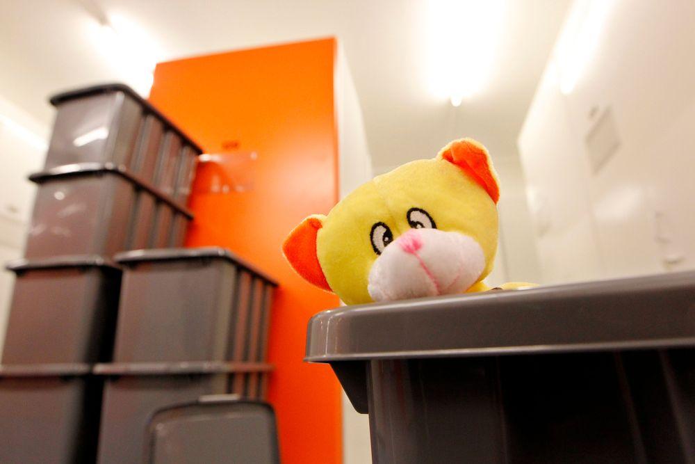 قانون زواج الأطفال في السويد يعجز عن ضبط الأمور
