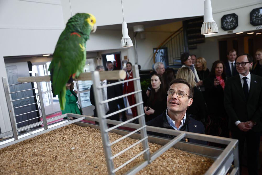  مدينة مالمو