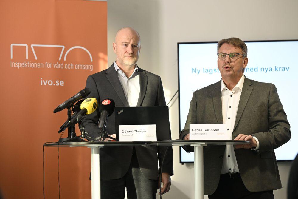  هيئة التفتيش على الرعاية الصحية والاجتماعية في السويد 