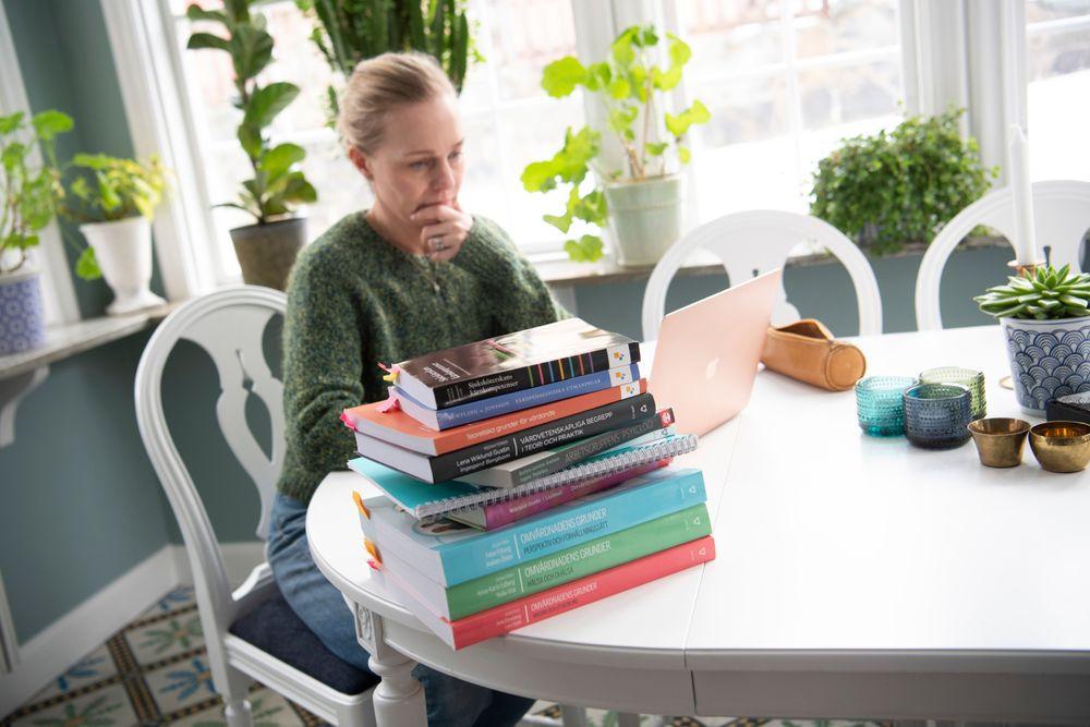 التعليم العالي في السويد