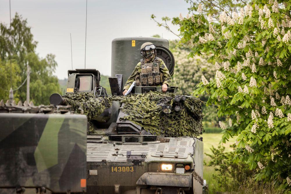 الجيش السويدي