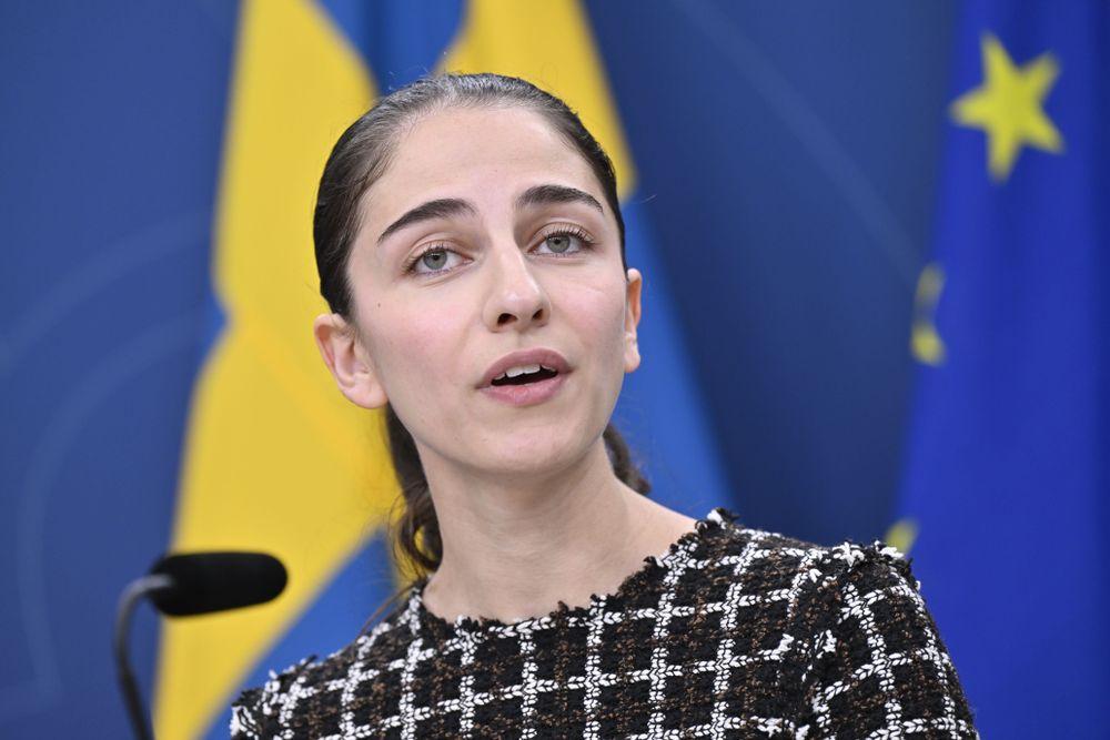  الحكومة السويدية