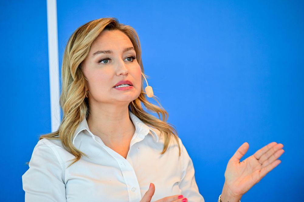  الشركات السويدية 