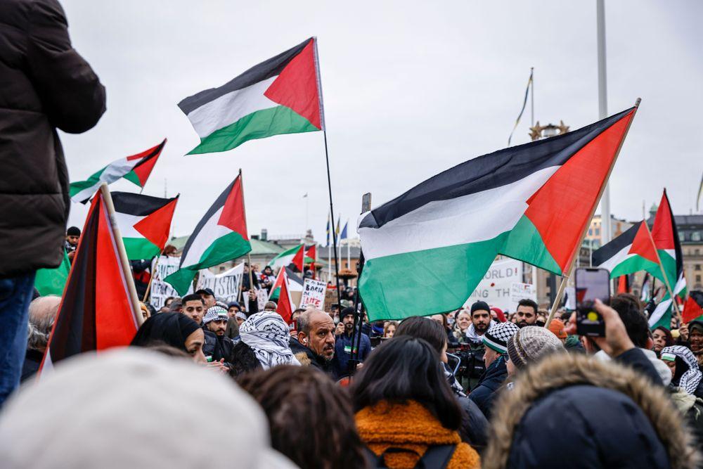 فلسطين