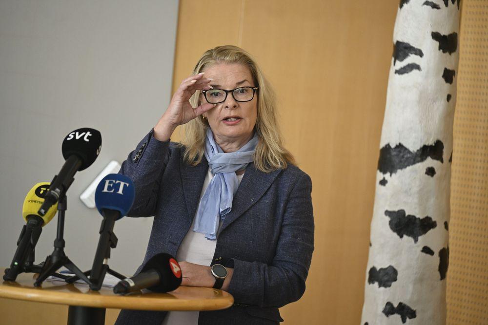 الحكومة السويدية