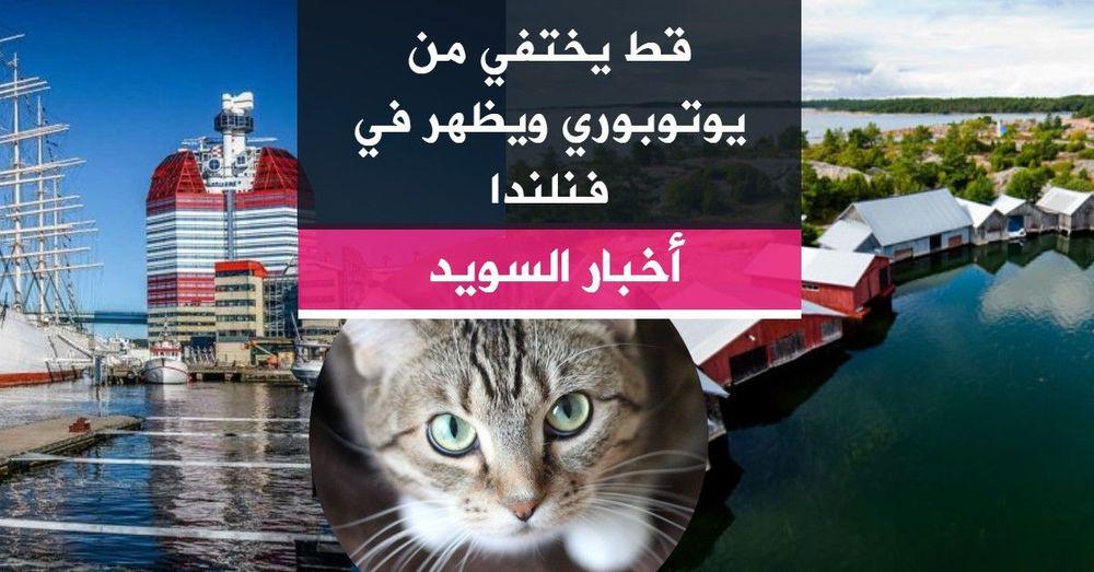 قط يختفي من يوتوبوري ويظهر في فنلندا