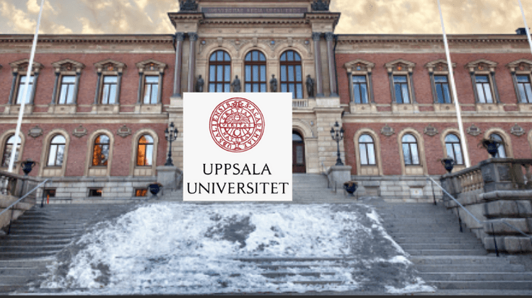 دراسة علمية: النظام الغذائي الغني بالألياف قد يقلل مخاطر القلب لدى العاملين ليلاً