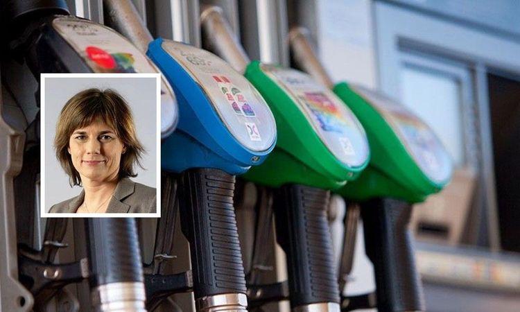 الناطقة باسم حزب البيئة: ستتم زيادة ضريبة البنزين والديزل بالتدريج