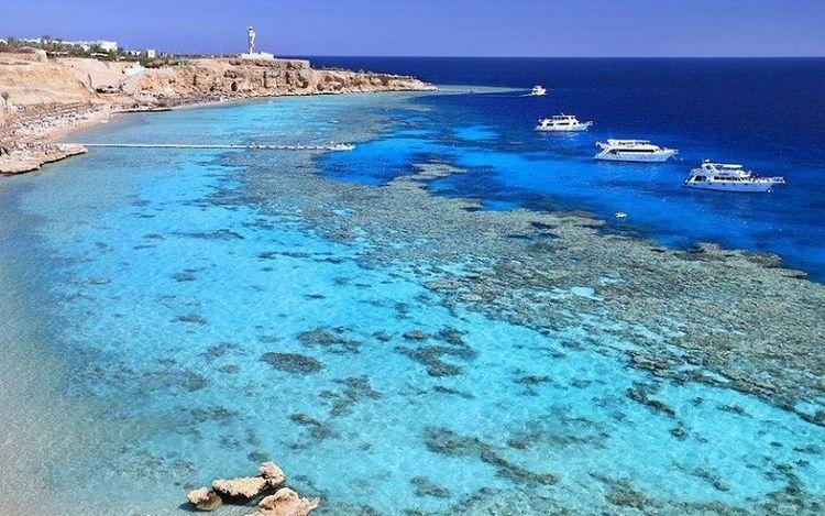 البحر الأحمر