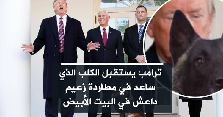 ترامب يستقبل الكلب الذي ساعد في مطاردة زعيم داعش في البيت الأبيض