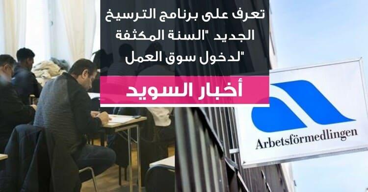 تعرف على برنامج الترسيخ الجديد "السنة المكثفة لدخول سوق العمل"