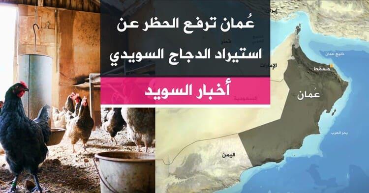 عُمان ترفع الحظر عن استيراد الدجاج السويدي