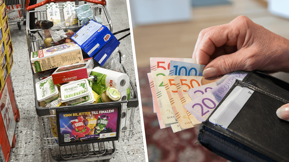 قطاع الصناعة السويدي