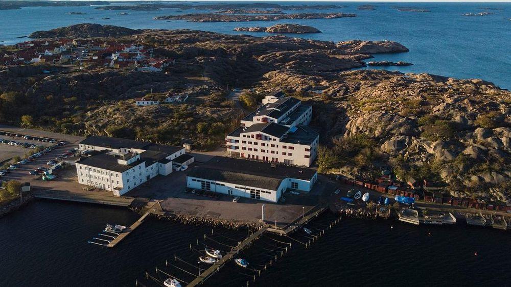السويد تبني أكبر مصنع لإنتاج علف المواشي من الأعشاب البحرية بالعالم