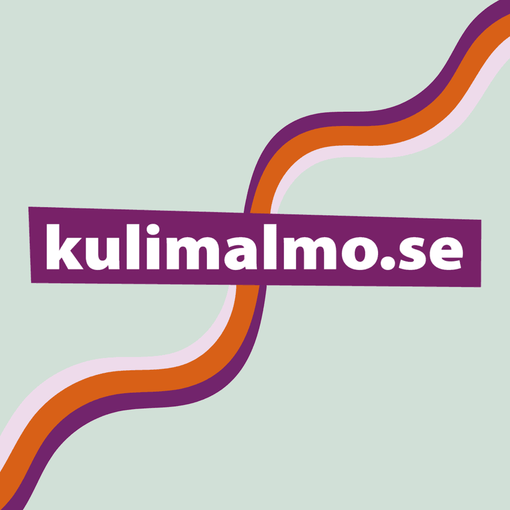 نشاطات Kul i Malmö في صيف 2024