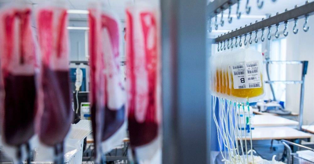 معهد كارولينسكا: نتائج إيجابية لاختبار بلازما الدم على مرضى كورونا