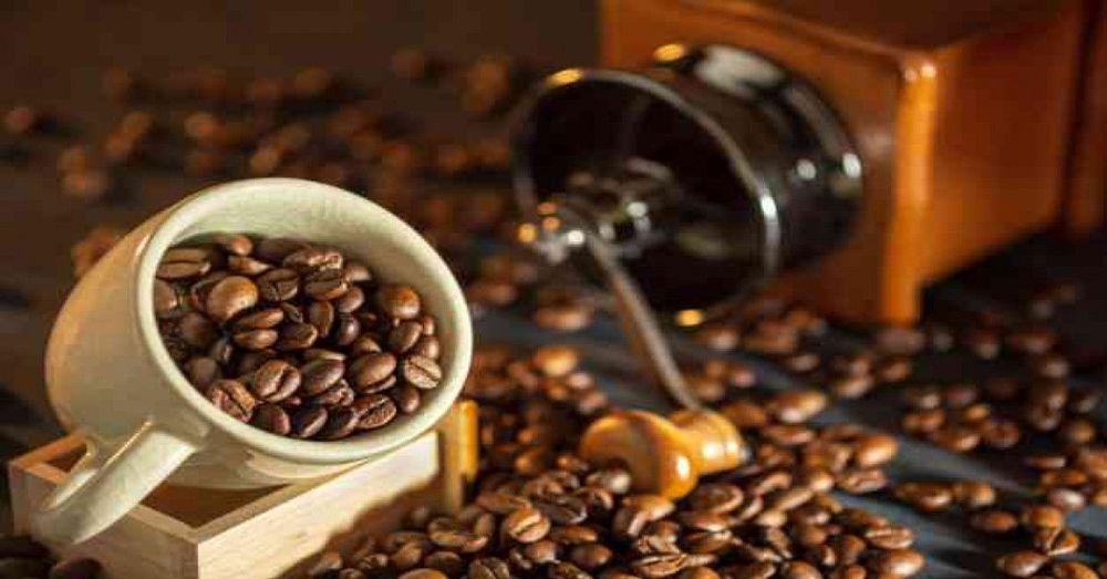 6 حالات سرقة قهوة تسجّل يومياً في إحدى بقاليات مالمو!