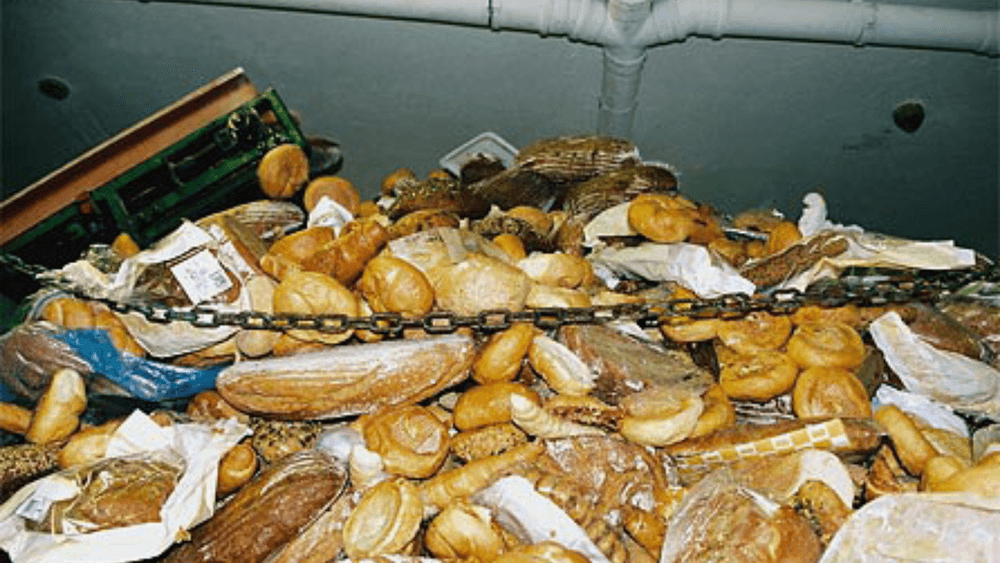 آلاف الأطنان من الخبز تهدر كل عام - دراسة سويدية