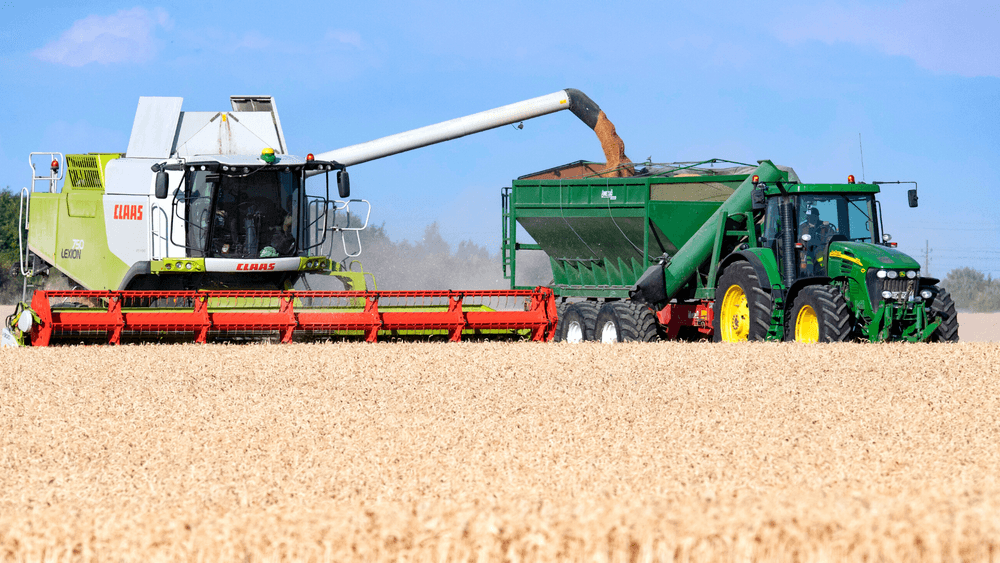 تراجع حصاد المحاصيل الزراعية 28% في السويد