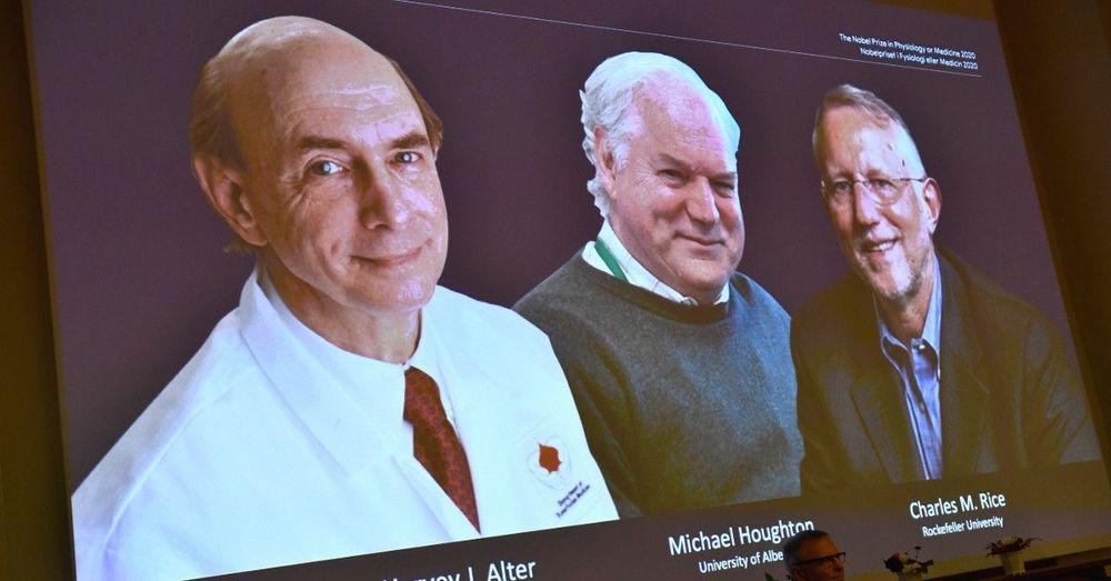 ثلاثة علماء يتقاسمون جائزة نوبل للطب لعام 2020