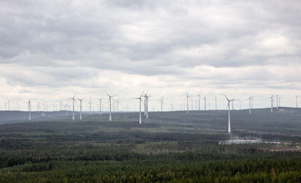 مشاريع طاقة الرياح تتراجع في السويد رغم الحاجة لها
