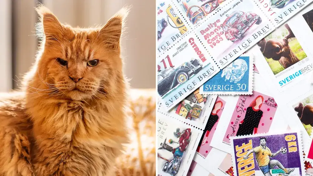 فوز 5 قطط من السويد بمسابقة للطوابع البريدية