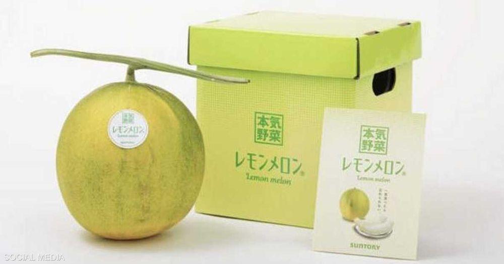 فاكهة الصيف الجديدة: شركة يابانية تطوّر فاكهة "بطيخ الليمون"
