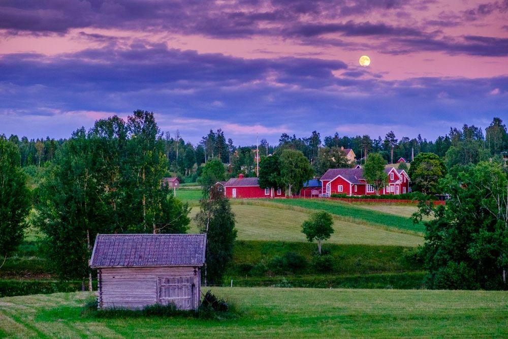 دالارنا السويدية: متعة التنزه عبر الطبيعة والوجهة المثالية للعطلة الخريفية
