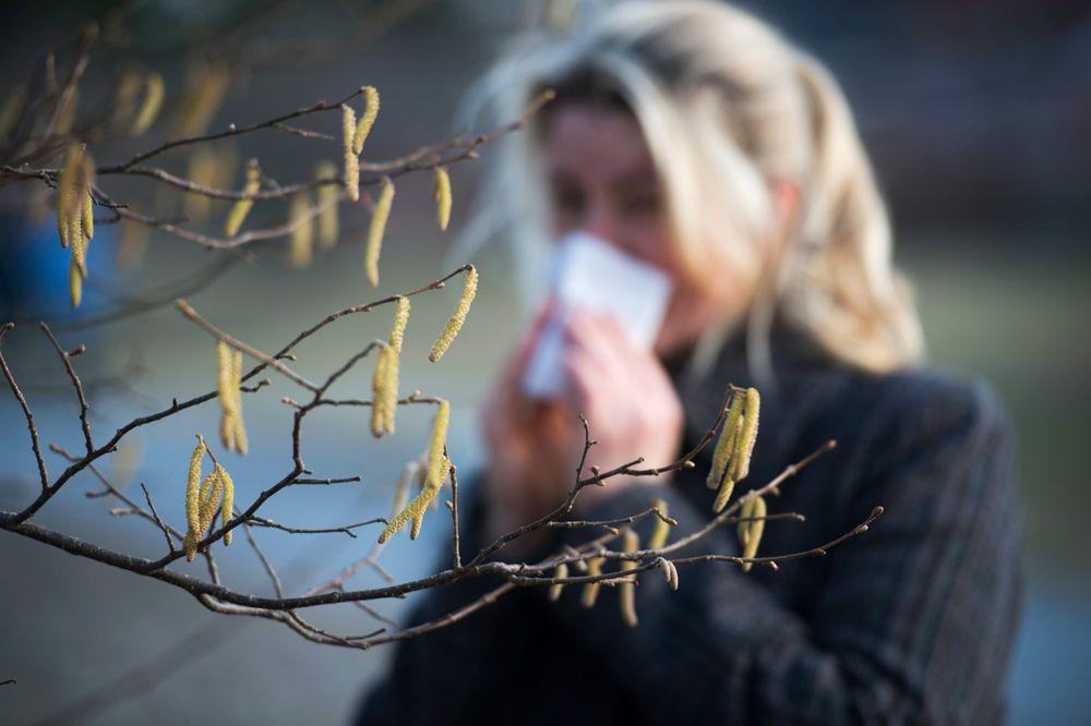 30 بالمئة من سكان السويد يعانون من حساسية الربيع
