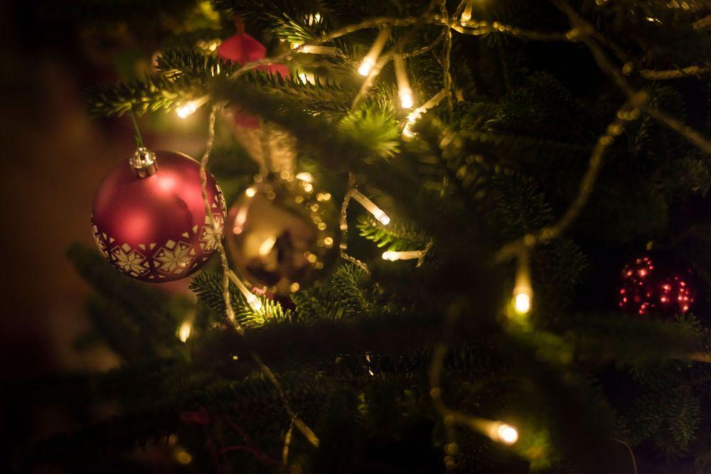 مع بقاء أقل من شهر على قدومه: أسعار أشجار عيد الميلاد ستكون الأغلى هذا العام 
