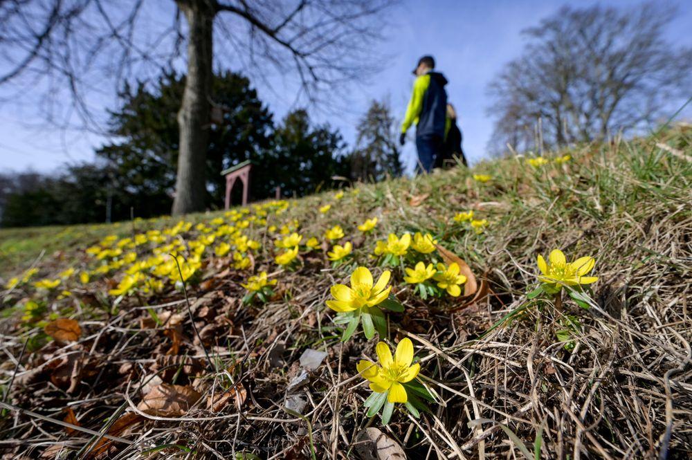 الربيع في السويد