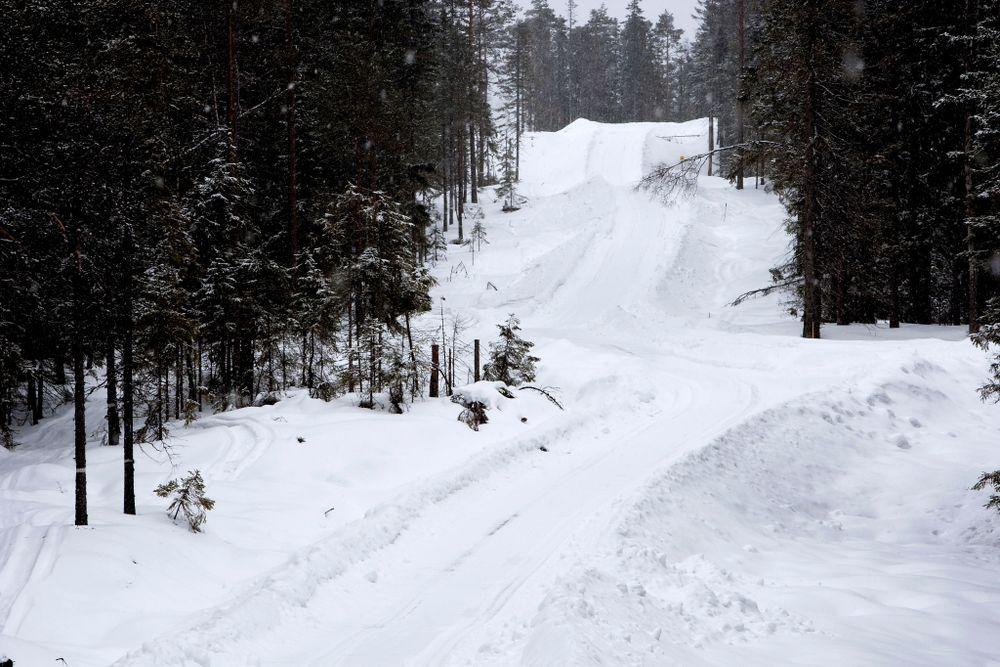 رجل يرمي جثة صديقه في غابة شمال السويد ويترك رسالة للشرطة
